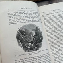 Load image into Gallery viewer, 1870 Alpine Flowers for English Gardens by W Robinson; Illustrated Victorian Book

