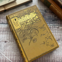 Load image into Gallery viewer, 1884 The Poems of George Eliot Beautiful Victorian Floral Binding
