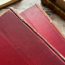 Load image into Gallery viewer, The Pageant of Nature Antique Illustrated Three Volume Collection
