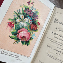 Load image into Gallery viewer, The Language of Flowers; Late Victorian Illustrated Book
