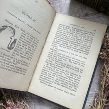 Load image into Gallery viewer, The Young Botanists; 19th Century Illustrated Book
