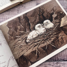 Load image into Gallery viewer, The Hole and Corner Book; Verses by B Parker and Illustrations by N Parker; Early 20th Century Book
