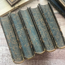 Load image into Gallery viewer, Familiar Wild Flowers Five Volumes; Half Leather Illustrated Set
