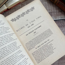 Load image into Gallery viewer, Quarter Leather French Book of Poetry by Victor Hugo; Lovely Antique Book
