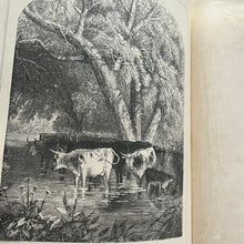 Load image into Gallery viewer, Pearls from the Poets Late Victorian Poetry Book
