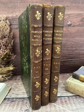 Load image into Gallery viewer, 1910 Familiar Wild Flowers; Three Individual Volumes, Half Calf with Marbled Edges
