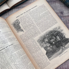 Load image into Gallery viewer, 1896 The Family Friend; A Magazine for the Home Circle Illustrated Victorian
