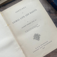 Load image into Gallery viewer, 1877 Sketches of Animal Life and Habits by Andrew Wilson; Illustrated Nature Book
