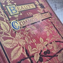 Load image into Gallery viewer, Rare but WORN edition of Beauty of Common Things Ornate Victorian Book

