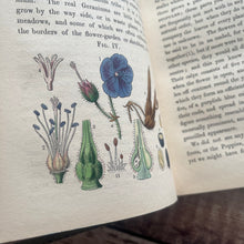 Load image into Gallery viewer, 1847 Ladies Botany A Familiar Introduction to the Study of Botany; Full Calf Leather
