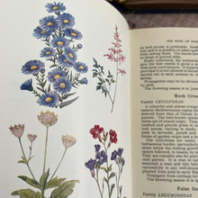 Load image into Gallery viewer, 1956 The Book of Garden Flowers by G.A.R. Phillips with Dust Jacket
