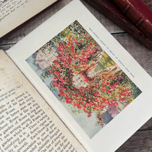 Load image into Gallery viewer, 1910 The Ideal Garden by HH Thomas Late Edwaridan Fine Cloth Binding
