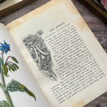 Load image into Gallery viewer, Familiar Wild Flowers First Series by Edward Hulme; Half Leather Illustrated Book
