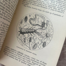Load image into Gallery viewer, The Wonders of the World in Earth, Sea and Sky by Uncle John; Victorian Illustrated Book
