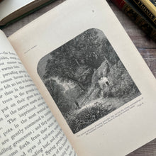 Load image into Gallery viewer, 1887 Sylvan Spring by Francis George Heath; Illustrated with Colour Plates (e)
