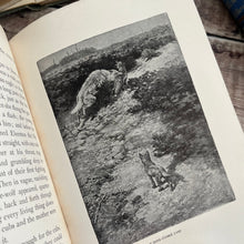 Load image into Gallery viewer, 1905 Northern Trails by William J-Long Illustrated Antique Book
