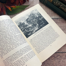 Load image into Gallery viewer, 1946 Nature in Britain With Dust Jacket Hardback Vintage Book Illustrated
