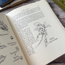 Load image into Gallery viewer, Our Friendly Trees by Barbara Briggs; Vintage Illustrated Book with Dust Jacket

