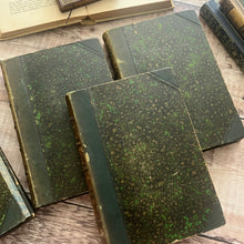 Load image into Gallery viewer, Familiar Wild Flowers Five Volumes; Half Leather Illustrated Set
