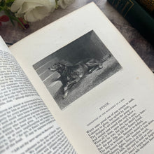 Load image into Gallery viewer, 1853 The Book of Gems Modern Poets and Artists Poetry Full Leather Book
