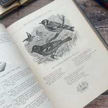 Load image into Gallery viewer, 1885 Illustrated Poems and Songs for Young People; Victorian Children's Book
