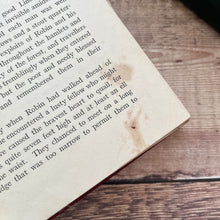 Load image into Gallery viewer, Robin Hood and His Life In the Merry Greenwood Illustrated Antique Book
