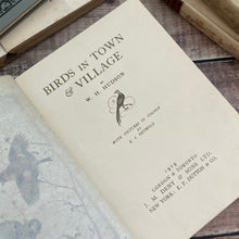 Load image into Gallery viewer, 1919 Birds in Town and Village; Illustrated by Edmund Detmold Colour Plates
