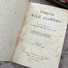 Load image into Gallery viewer, Familiar Wild Flowers First Series by Edward Hulme; Half Leather Illustrated Book
