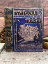 Load image into Gallery viewer, Wildcat Tower by G. Christopher Davies; Victorian Illustrated Book

