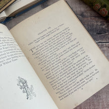 Load image into Gallery viewer, Wildcat Tower by G. Christopher Davies; Victorian Illustrated Book

