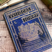 Load image into Gallery viewer, Wildcat Tower by G. Christopher Davies; Victorian Illustrated Book
