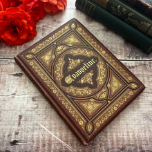 Load image into Gallery viewer, Evangeline by Henry Wadsworth Longfellow Illustrated Early Victorian Book
