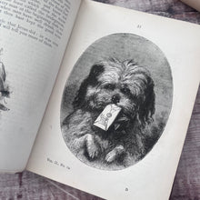 Load image into Gallery viewer, 1877 Little Wide-Awake A Story Book for Little Children by Mrs Sale Barker; Illustrated Victorian Book
