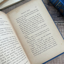 Load image into Gallery viewer, The Stray Lamb by Margaret Haycraft Late Victorian Book with Floral Binding
