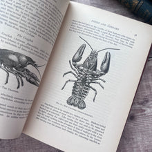 Load image into Gallery viewer, 1912 The Outdoor World or The Young Collector's Handbook by W Furneaux; Illustrated
