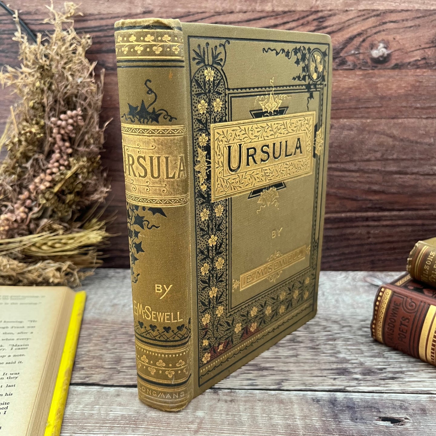 Ursula A Tale of Country Life by Elizabeth Sewell Beautiful Victorian Book