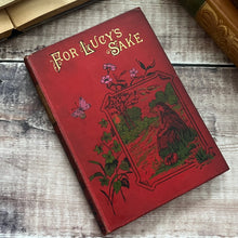 Load image into Gallery viewer, For Lucy's Sake by Annie S Swan Beautiful Cloth Binding Pocket Book
