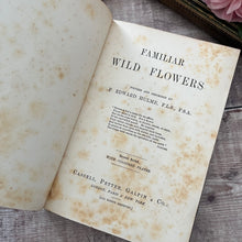 Load image into Gallery viewer, Familiar Wild Flowers Second Series by Edward Hulme; Half Leather Illustrated Book

