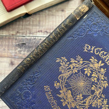 Load image into Gallery viewer, 1862 Piccalilli An Illustrated Mixture by Gilbert Percy; Stunning Victorian Illustrated Book
