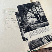 Load image into Gallery viewer, Our Friendly Trees by Barbara Briggs; Vintage Illustrated Book with Dust Jacket
