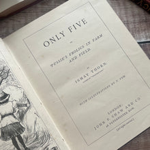 Load image into Gallery viewer, Only Five or Pussie's Frolics in Farm and Field by Ismay Thorn; Victorian Illustrated Book
