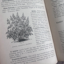 Load image into Gallery viewer, 1900 My Gardener A Practical Handbook for the Million by H W Ward

