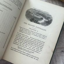 Load image into Gallery viewer, 1868 The Seaside Naturalist by Rev Robert Fraser; Mid Victorian Illustrated Natural History Book
