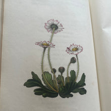 Load image into Gallery viewer, 1833 The Moral of Flowers; First Edition with Hand Coloured Plates RARE (et)
