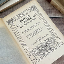 Load image into Gallery viewer, 1912 British Land Mammals by A Nicol Simpson; Peeps at Nature Series First Edition
