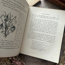 Load image into Gallery viewer, Flowers and Their Teachings Scarce Binding Late Victorian Illustrated
