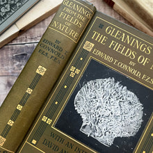 Load image into Gallery viewer, 1910 Gleanings from the Fields of Nature by Edward T Connold; Illustrated Book
