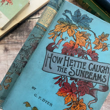 Load image into Gallery viewer, How Hettie Caught the Sunbeams by G P Dyer Late Victorian Book with Floral Binding
