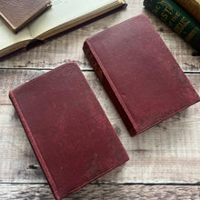 Load image into Gallery viewer, The Count of Monte Cristo by Alexandre Dumas in Two Volumes Illustrated Books
