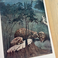 Load image into Gallery viewer, 1912 British Land Mammals by A Nicol Simpson; Peeps at Nature Series First Edition
